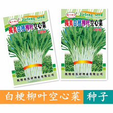 揭美青梗柳叶空心菜种子 青骨尖叶型通心菜雍菜籽 阳台盆栽田园易种空心菜蔬菜种子 揭美白梗柳叶空心菜种子 原装20克