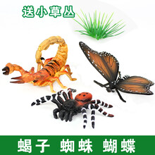 儿童仿真昆虫模型动物玩具蜜蜂独仙角蝴蝶草蜢螳螂七星瓢虫礼物 蝎子+蝴蝶+蜘蛛