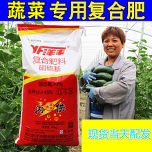 蔬菜瓜果专用复合肥通用型水溶肥料盆栽花有机肥种菜家用尿素钾磷 磷肥5斤