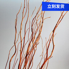 自然家居装饰摆设艺术干花天然干枝树枝拍摄道具龙柳枝曲柳 树枝，70厘米