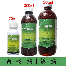 三唑酮三唑铜果树锈病月季药多肉药花卉白粉病杀菌剂粉锈宁 300ml