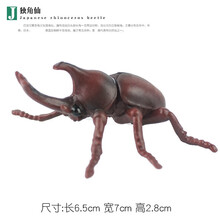 儿童仿真昆虫模型动物玩具蜜蜂独仙角蝴蝶草蜢螳螂七星瓢虫礼物 独角仙