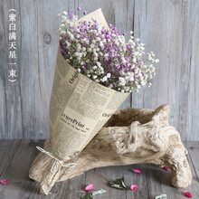 天然满天星干花花束真花办公室客厅家居装饰摆设小清新风干花束件SN6162 紫白满天星