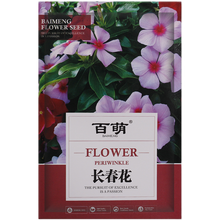 百萌（BAI MENG）长春花种子 日日春五瓣梅花卉种子 易种耐热耐旱花期长四季开花春秋播种 花种籽 长春花种子 玫红色 1克约500粒 厂商封装