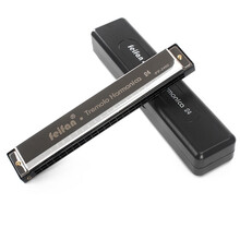 feifan 口琴24孔复音C调初学者儿童学生成人入门专业演奏级口琴 初学入门-质感银