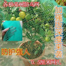 防鸟罩樱桃网果树防鸟网果园尼龙网防护罩防雹网葡萄蔬菜草莓网 翠绿色0.5cm耐用5米宽6米长 加强款