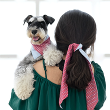 ISPET宠物狗围巾三角巾口水巾可爱法斗亲子装猫咪围脖围兜小型犬 BA0069-方格子 S码