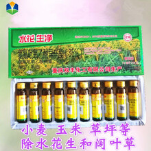 水花生净烂根虾子草空心莲子菜草阔叶草除草剂 100ml
