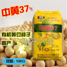 高产黄豆种子农家春季夏季播种易活田园种植号豆种 中黄13 中黄37 简装2500克