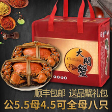 【活蟹】 阳澄嘟嘟大闸蟹 鲜活特大螃蟹 可全母实物活体 海鲜水产生鲜礼盒 公蟹5.5-5.8两母蟹4.5-4.8两8只4对