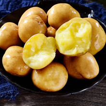 高原mini小土豆 5斤装 新鲜蔬菜顺丰 2500g