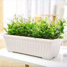 奥美优 种菜盆 阳台室内蔬菜种植盆 12L加厚塑料长方形花盆 家庭种菜庭院养花盆 带托盘 LZ7312 