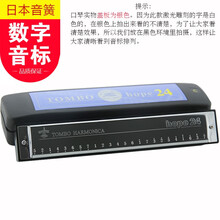 通宝（TOMBO） 24孔复音口琴6624系列银色盖板激光雕刻音阶款 初学便于寻找音阶 C调 6624 入门款带数字音标