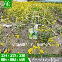 大棚骨架内棚温室塑料棚支架小拱棚拱杆蔬菜农业小工棚玻璃钢拱竿 直径6mm粗*1.8米长*40根