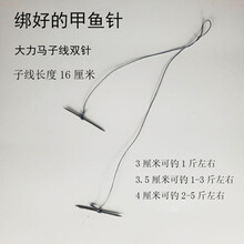 钓甲鱼 钩钓两头尖甲鱼针甲鱼钩老鳖钩王八钩甲鱼钩 钓甲鱼甲鱼勾 绑好子线甲鱼针（4厘米）10副