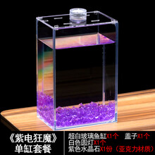 中鑫 8016水族泰国斗鱼缸超白玻璃鱼缸生态斗鱼缸桌面排缸创意斗鱼杯 紫电狂魔单缸套餐