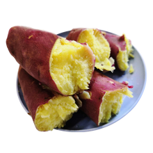板栗红薯 鲜红薯番薯蔬菜 黄土地地瓜 9斤