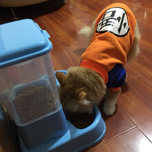 猫碗猫食盆双碗自动饮水喂食器猫盆猫咪用品狗粮狗碗猫饭盆猫粮盘 自动喂食器【蓝色】