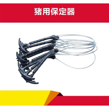 猪用保定器套猪器钢丝绳抓猪神器拉猪器工具保定器兽用猪用套子器械钢助产 套猪器10个