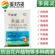 多菌灵杀菌剂通用花药百菌清灭菌灵花卉多肉白粉病烟煤病土壤消毒根腐黑腐家庭园艺农药可湿性粉剂 20克*50袋
