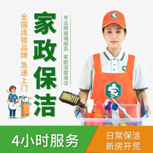 【速达易家】家政保洁上门服务家电表面除尘高端日常保洁家庭深度保洁 家政阿姨到家打扫专业家电清洗公司 4小时含擦玻璃