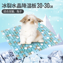宠尚天 仓鼠陶瓷窝夏天降温用品降温板睡房金丝熊冰屋 冰裂蓝水晶降温板30×30cm M
