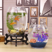 创意桌面鱼缸生态圆形玻璃金鱼缸乌龟缸迷你小型造景家用水族箱 30号炮   品6件套