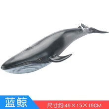仿真海洋生物超大号动物软胶玩具模型海底世界海马海龟海豚鲸鱼大白鲨鱼类益智玩具套装 蓝鲸【超大号】