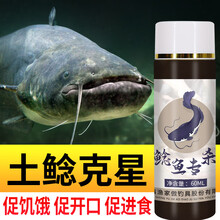 钓鲶鱼小药野钓鲶鱼饵料专用爆鲶鳖诱食剂打路亚假饵开口剂香精 鲶鱼专杀1瓶共60ML