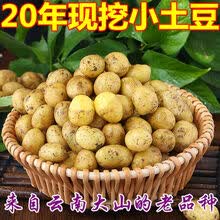 2020云南新鲜黄心小土豆新鲜马铃薯洋芋黄皮黄心5斤批发全国 黄皮黄心迷你小土豆(1元硬币大小) 5斤带箱发货