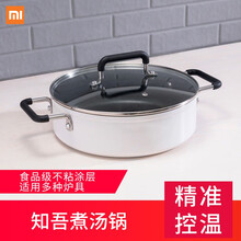 小米（MI） 米家电磁炉家用双频火力智能温控灶 智能迷你火锅炉 知吾煮汤锅