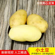 盛源康莱芜特产山东黄心土豆新鲜农家现挖现发食用香甜5斤10 5斤【小果】净重