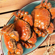 【活蟹】鲜木 盘锦河蟹稻田蟹现货公母公5只母5只蟹鲜活螃蟹缺重包赔 下单预定 母蟹1.2-1.5两10只装