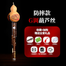 葫芦丝乐器初学者学生入门自学 防摔型 G调葫芦丝
