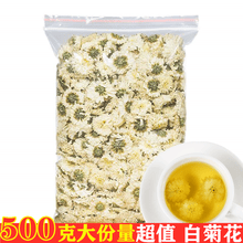 白菊花茶500g黄山贡菊花散装新花另有胎菊王茶定制 白贡菊250克