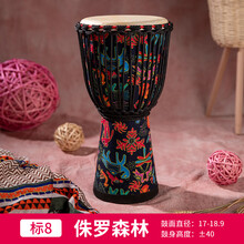 前谷丽江羊皮非洲鼓手鼓民谣鼓入门儿童幼儿园标8标准10/12寸 标8【侏罗森林】