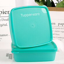 特百惠（Tupperware）保鲜盒果菜冷藏小方盒冰箱密封保鲜储藏盒零食盒 250mlx2 颜色随机