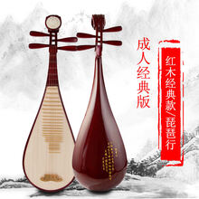 丰琵琶乐器初学入门儿童成人初学者演奏 成人经典款【精品琴盒非琴包+全套配件+终身维修】琵