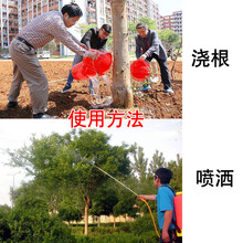 杀树王除树剂大树烂根渗透杀死树木的药注射杂草除草剂一扫光神剂 100g