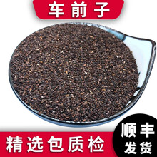 泽信堂 车前子 精选 500克中药材 500g