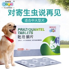 【正常发货 买一送二】新宠狗狗驱虫药体内吡喹酮片边牧金毛中大型犬成年犬专用打虫除虫药 2盒