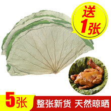 山林百草 荷叶茶 整张干荷叶花草茶叫花鸡大片荷叶可配干冬瓜皮荷叶鸡糯米鸡荷叶灰 整张荷叶 5张送1张【共6张】