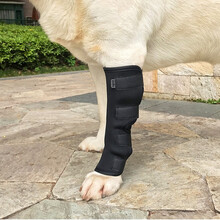 SLPC 狗狗护腿套长筒狗腿恢复绷带狗护膝套宠物腿受伤防舔关节固定恢复绑带包裹腿部支架 L