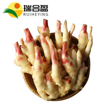 瑞合盈 山东红芽鲜姜嫩姜子姜仔姜泡醋姜生黄姜新鲜蔬菜 原生态鲜姜 3斤