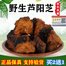 芦阳芝大粒 西藏野生芦阳芝 官网芦阳芝  矷山芦阳芝 (200g装 送枸杞+黄氏)拍2发3