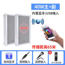 先科（SAST）户外无线蓝牙防水音柱室外挂墙音箱超市壁挂式音响商场公共广播店铺门店头餐厅背景音乐喇叭 有源30W音柱主箱+副箱