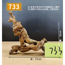 精品沉木大号珊瑚木鱼草缸造景原生天然流木装饰树根杜鹃根新品 珊瑚木733