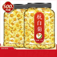 杭白菊 桐乡特级正宗杭州原产罐散装大朵菊花茶胎菊 【1罐】杭白菊(共250克)