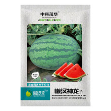 中科茂华瓜果种子懒汉神龙西瓜种子抗重茬免整枝打叉红瓤椭圆墨绿皮超甜耐高温50粒