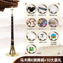 精制初学者唢呐乐器全套乌木唢呐调成人大小号唢呐 乌木降E调黄碗+10大